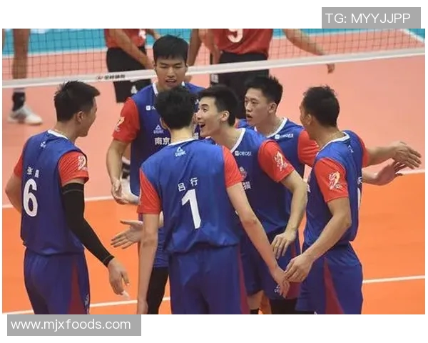 南京排球队实力强劲荣登全国排球力量排行榜第五名