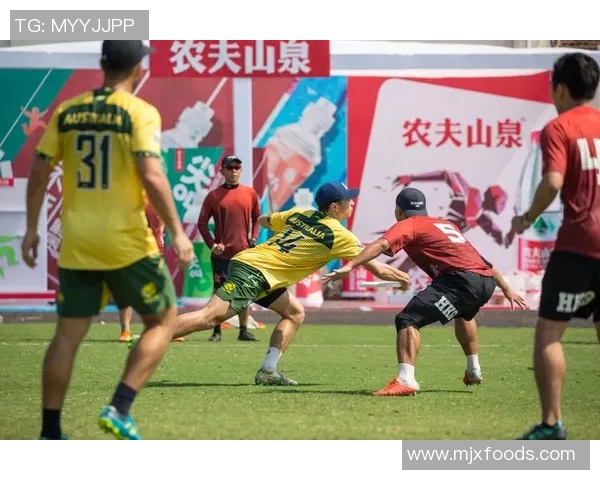 南京飞盘队的节奏与战术分析探索飞盘运动的魅力与团队协作