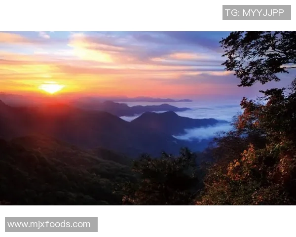 吴丽的攀岩人生：在高峰与深渊之间的深度对话与心灵探索