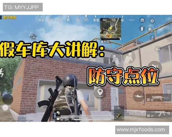 和平精英评论：深入分析BLG战队防守策略的得失与启示