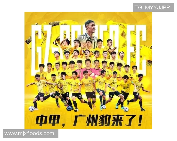 广州排球队意识争议引发热议球迷与专家各执己见探讨球队未来发展方向