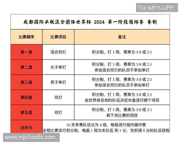 成都乒乓球队技术深度解析与训练方法探讨