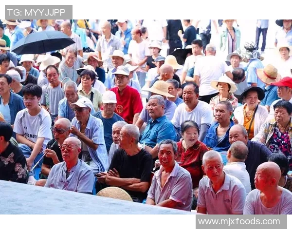 杨丽的乒乓球人生：从小球场到世界舞台的深度对话与成长故事