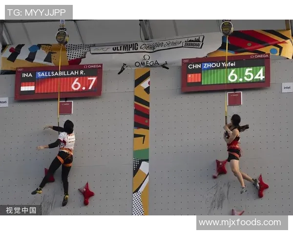 杭州攀岩队与武汉攀岩队赛后状态分析与表现评估