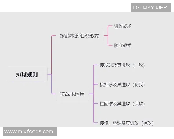 武汉排球队的战术解析与阵地战策略深度剖析 武汉排球队的战术解析与阵地战策略深度剖析