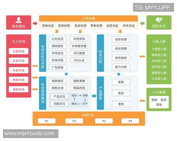 深入分析杭州足球队的运营策略与市场推广模式