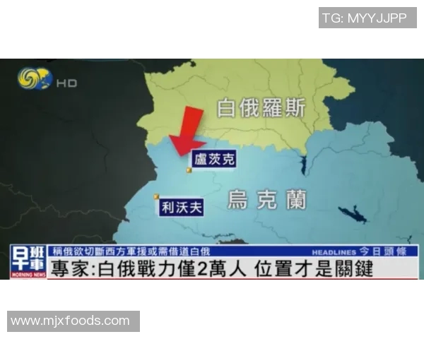 西安攀岩队区域防守分析与战术调整探讨