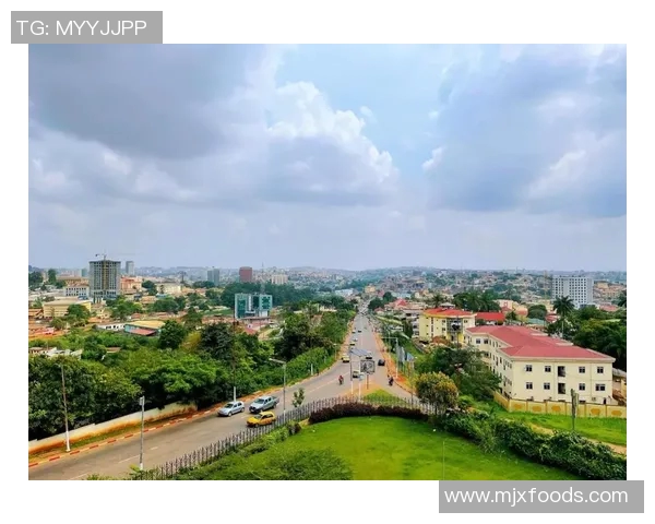 喀麦隆与克罗地亚比赛中最荒唐红牌事件引发热议与争议