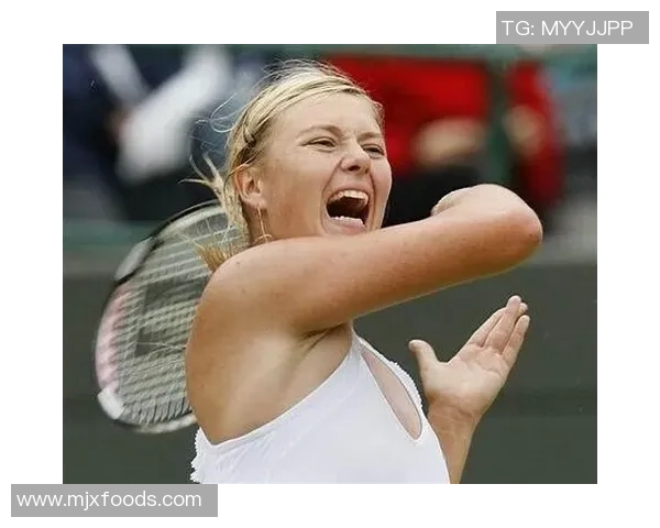 布林狮子迎战休斯顿城全力争胜展现球队实力与风采 布林狮子迎战休斯顿城全力争胜展现球队实力与风采