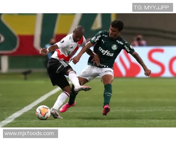 沙特豪门引援力度加大本泽马坎特或共赴吉达征战欧冠 沙特豪门引援力度加大本泽马坎特或共赴吉达征战欧冠