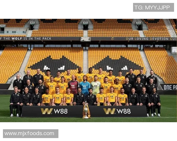 纽卡斯尔与狼队激战正酣谁将赢得英超精彩对决的胜利