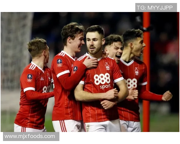 诺丁汉对维冈比赛前瞻与胜负预测分析及双方近期状态评估