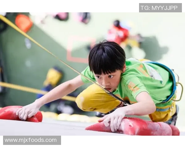 重庆攀岩队在联赛中的心理素质分析与表现评估