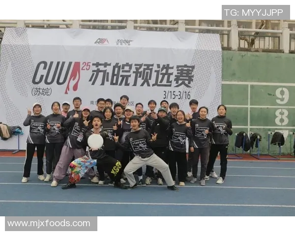 飞盘战术揭秘:南京飞盘队如何巧妙运用防反策略 飞盘战术揭秘:南京飞盘队如何巧妙运用防反策略