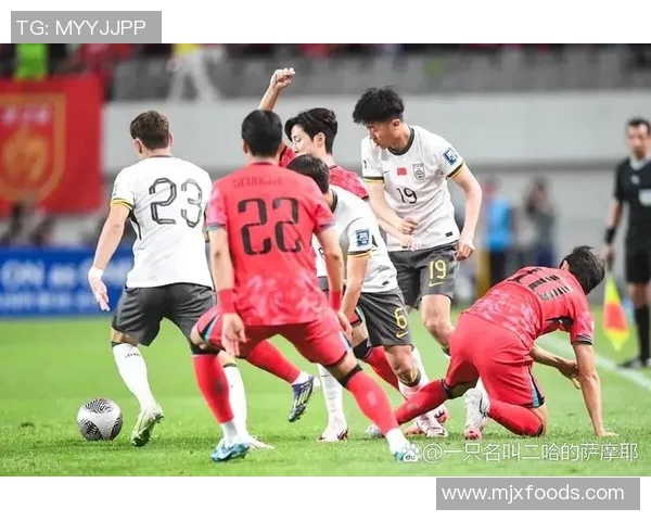 11月25日泰国与新加坡足球比赛比分分析及精彩瞬间回顾