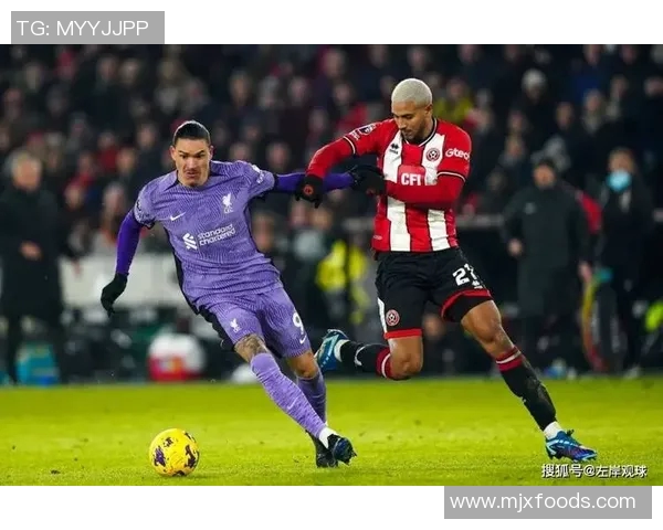切尔西对阵谢菲联的西甲精彩对决分析与赛前预测
