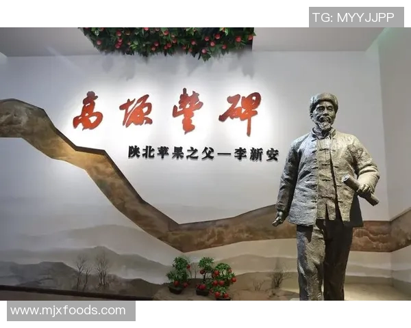 张宁：从普通学子到国际舞台的璀璨明星之路探索与启示