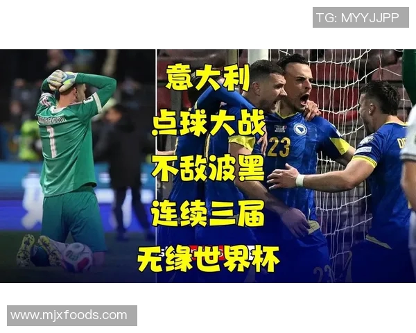 意大利与波黑世界杯对决精彩回顾与赛后分析 意大利与波黑世界杯对决精彩回顾与赛后分析